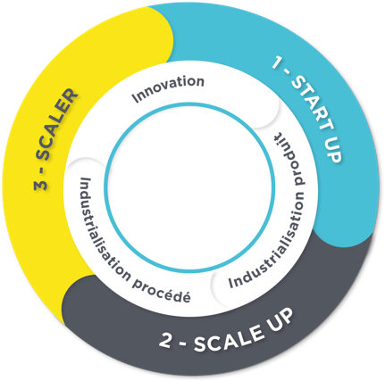 accompagnement-cycle-developpement